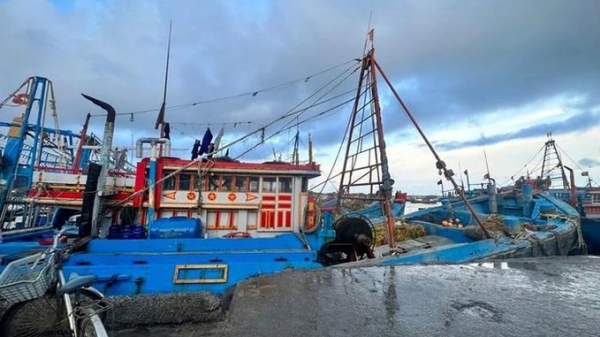 Hai ngư dân tử vong khi xuống khoang bốc dỡ hải sản