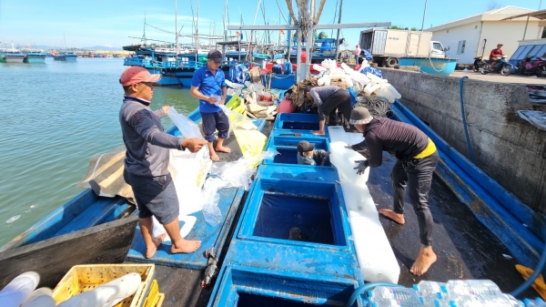 Phú Yên xử lý nghiêm các tàu cá vi phạm về IUU
