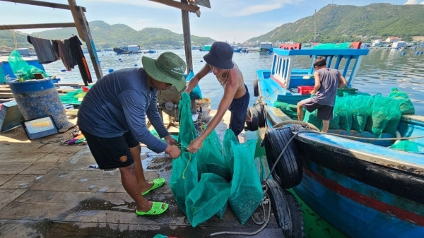Những mô hình làm sạch môi trường nuôi biển: [Bài 1] Túi lưới góp phần giảm rác thải
