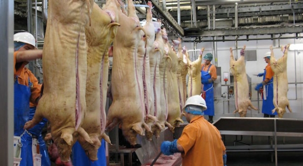 Thịt lợn nhập khẩu tăng trưởng tới 3 con số trong năm nay