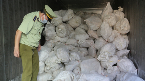 Hơn 16 tấn thịt gia cầm ôi thiu được phát hiện ở Bình Phước