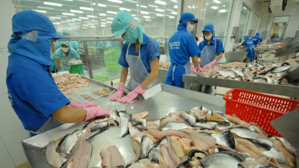 Campuchia xem xét lại lệnh dừng nhập khẩu cá nuôi