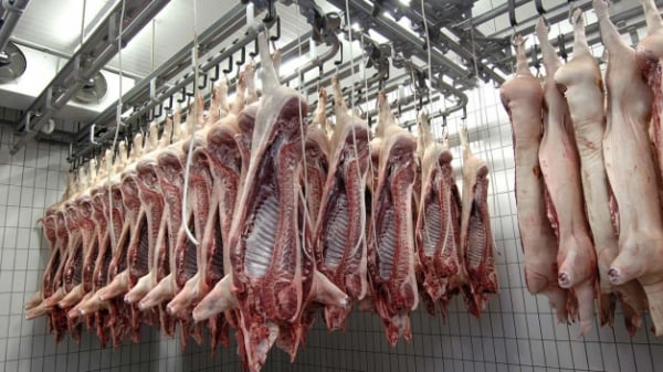 Trung Quốc chiếm hơn 1 nửa lượng thịt lợn xuất khẩu của EU