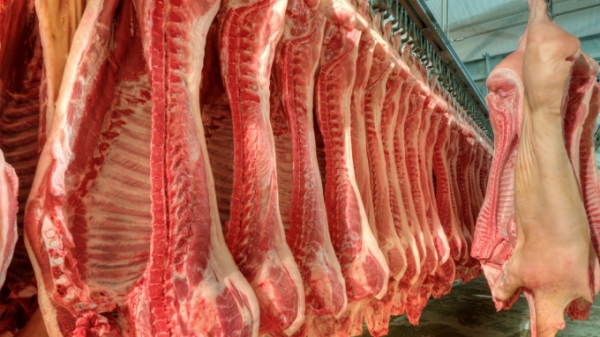 Thịt lợn nhập khẩu vẫn tăng mạnh trong những tháng đầu năm nay