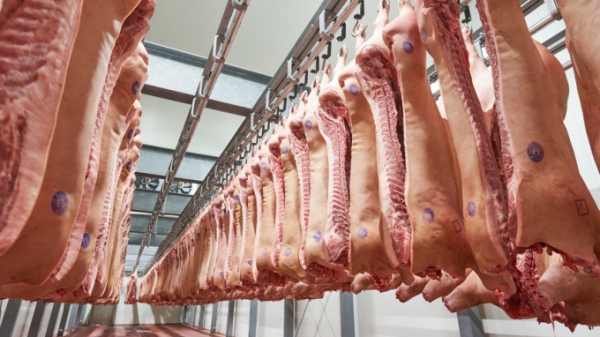 Thịt lợn nhập khẩu vào Trung Quốc vẫn sẽ ở mức cao