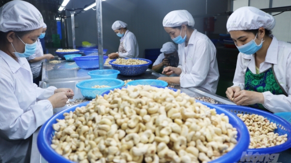Nông nghiệp, thực phẩm Việt Nam đứng thứ 2 ASEAN về phục hồi kinh tế