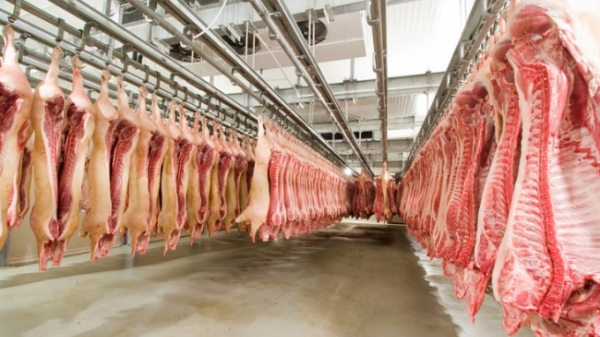 Thịt lợn nhập khẩu từ Nga tăng chóng mặt