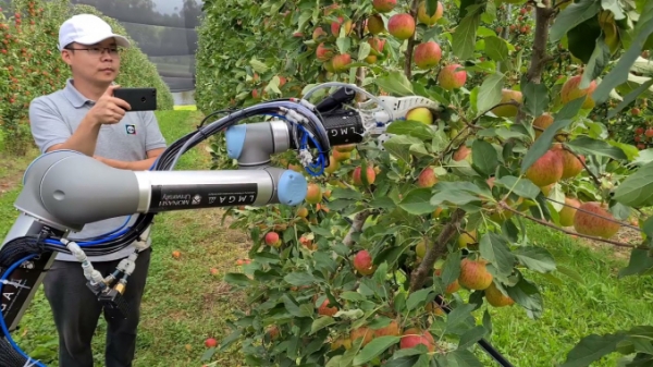 Robot thu hoạch táo, 7 giây hái được một trái
