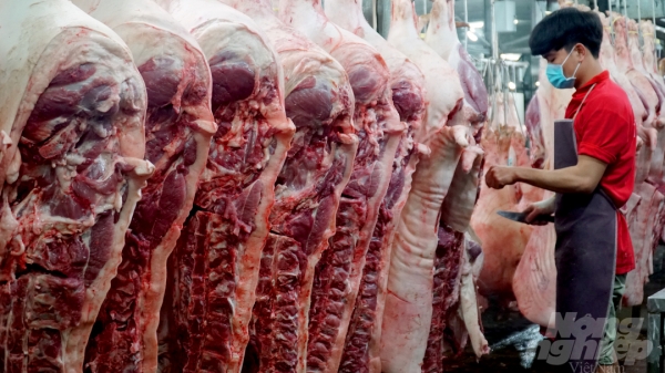 Giá thịt heo móc hàm tăng cao vì chợ đầu mối đóng cửa