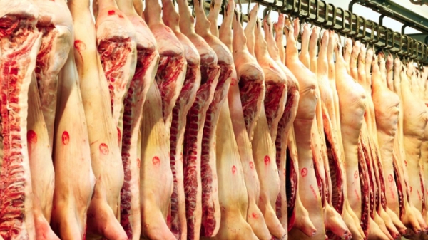 Nhập khẩu thịt lợn dự báo vẫn tăng