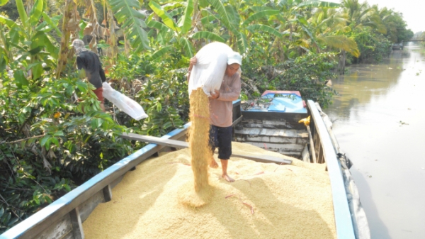 Kiến nghị mở ‘luồng xanh’ vận tải thủy để tiêu thụ lúa gạo