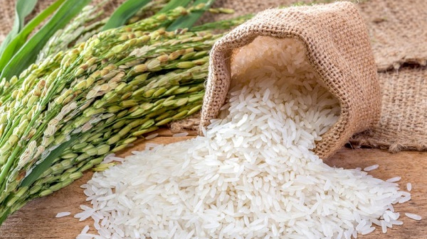 Xuất khẩu gạo tăng 3 tháng liên tiếp