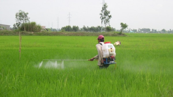 Việt Nam tăng mạnh nhập khẩu thuốc trừ sâu từ Ấn Độ