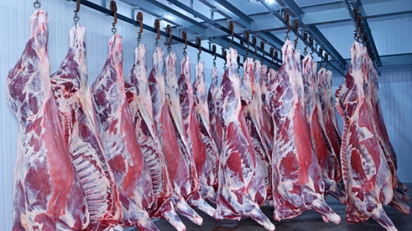 Thị trường thịt bò thế giới sẽ thiếu hụt trong năm 2022