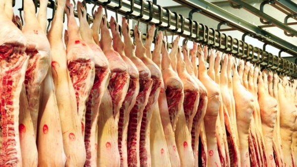 Xuất khẩu thịt lợn của Brazil vượt mức 1 triệu tấn