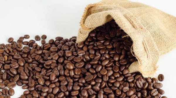 Xuất khẩu cà phê quay trở lại mốc 3 tỷ USD