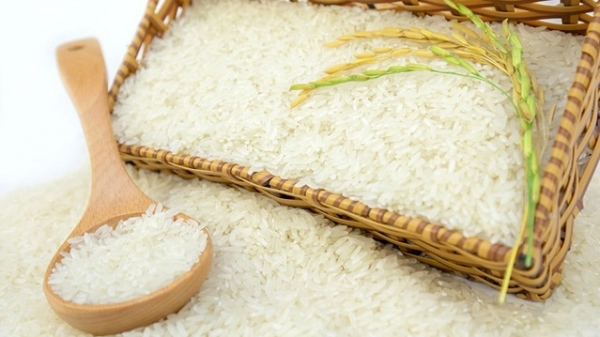 Giá gạo Việt Nam nhập vào EU đạt trung bình 781 USD/tấn