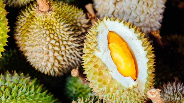 Thái Lan muốn họp với Việt Nam, Trung Quốc, Lào để tăng thương mại trái cây