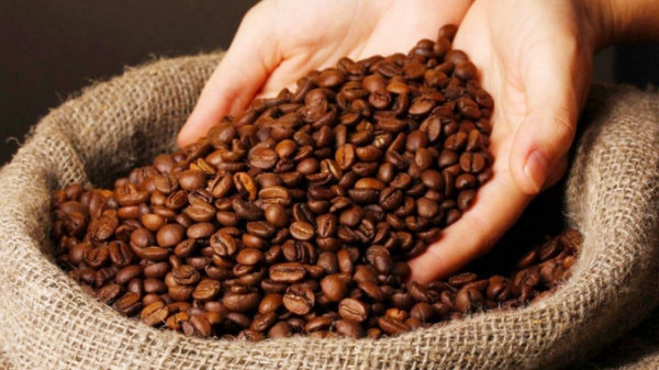 Bỉ trở thành thị trường lớn thứ 2 của cà phê Việt Nam