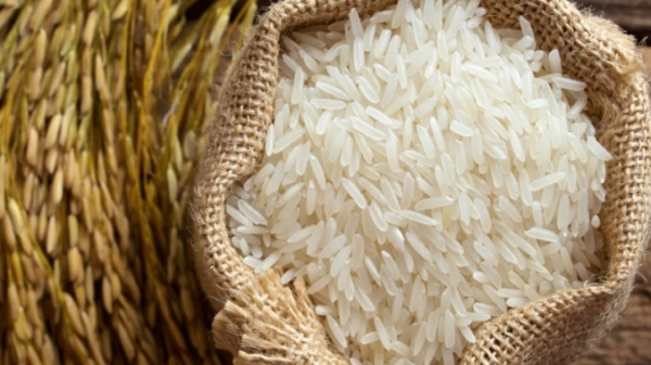 Malysia sẽ nhập khẩu 700 nghìn tấn gạo Việt Nam trong năm nay