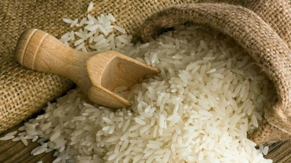 Giá gạo toàn cầu dự báo sẽ tăng mạnh