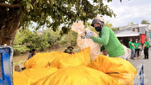 Nông dân Sa Đéc thu gom hàng trăm ký vỏ, bao thuốc bảo vệ thực vật