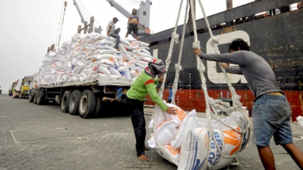 Indonesia sẽ nhập khẩu 2 triệu tấn gạo trong năm nay