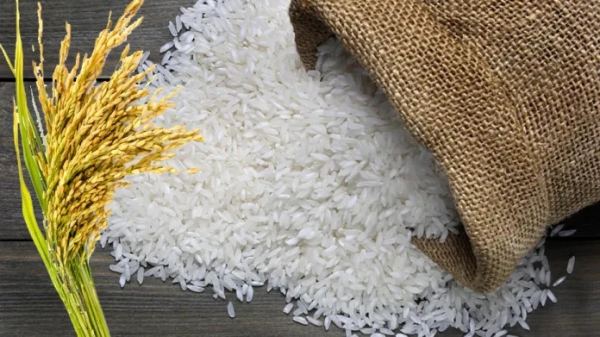 Ấn Độ cấm xuất khẩu tất cả các loại gạo tẻ thường