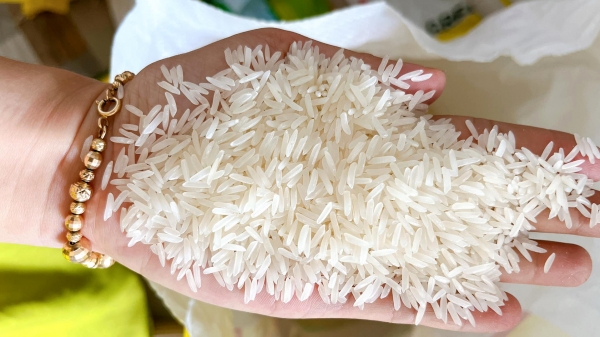Theo dõi sát thị trường gạo trong nước và trên thế giới