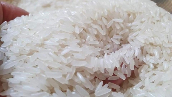 MM Mega Market cam kết không tăng giá gạo trong tháng 8