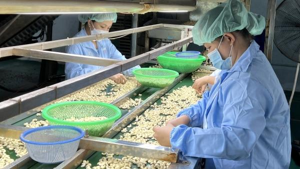 Hướng dẫn về SPS cho doanh nghiệp xuất khẩu nông sản sang Trung Quốc