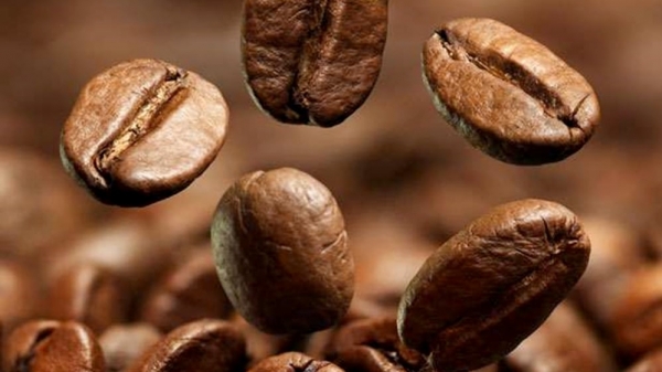 Giá cà phê vượt mốc 74.000 đồng/kg