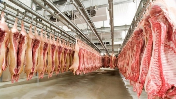 Tiêu thụ thịt lợn của Việt Nam sẽ tăng gần 30% đến 2030