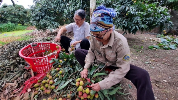 Phát triển nông nghiệp theo hướng bền vững ở Quảng Ninh