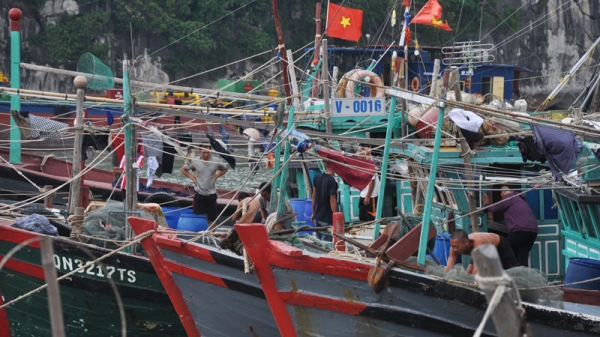 Tỉnh Quảng Ninh rốt ráo phòng chống bão số 7