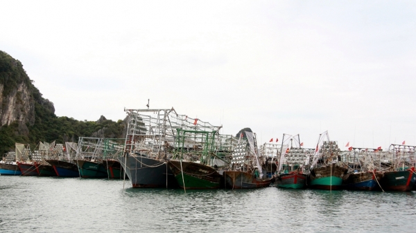 Cố tình cho tàu thuyền neo đậu ven bờ vịnh Hạ Long sẽ bị xử lý