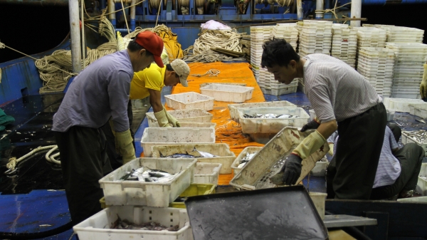 Quảng Ninh: Bảo vệ ngư dân hoạt động trên vùng biển Vịnh Bắc Bộ