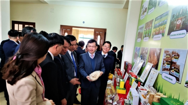 Tuyên Quang: Chú trọng tái cơ cấu nông nghiệp, nâng tầm các sản phẩm chủ lực