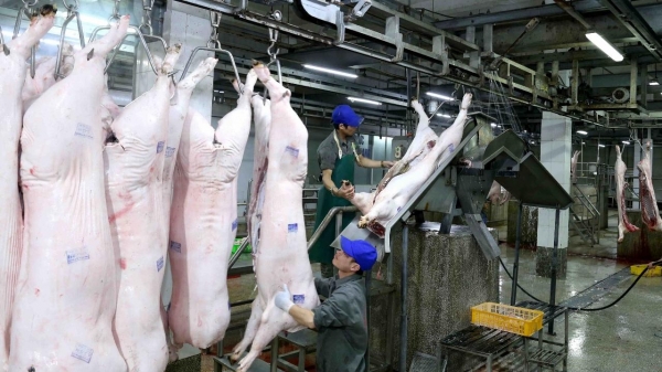 Doanh nghiệp chăn nuôi lớn đồng lòng giảm sâu giá lợn hơi