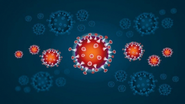 Nóng: Nhà nghiên cứu Hà Lan tuyên bố tìm ra kháng thể Covid-19