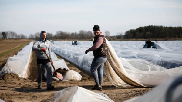 Châu Âu: Đóng cửa biên giới và nỗi lo thiếu nguồn cung thực phẩm tươi sống