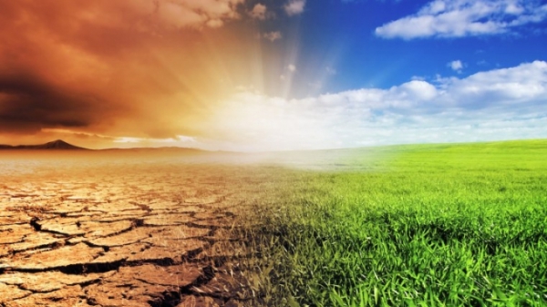 Nông nghiệp ứng phó với biến đổi khí hậu