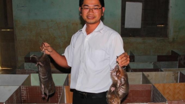 Quảng Nam: Nhiều mô hình nuôi dúi