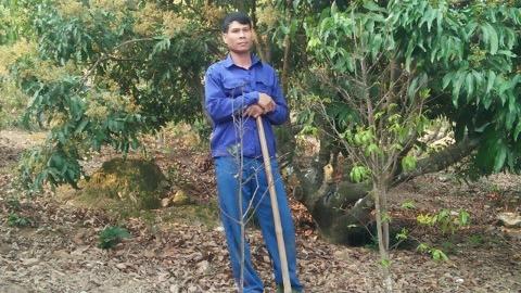 Chàng kĩ sư mê trồng rừng