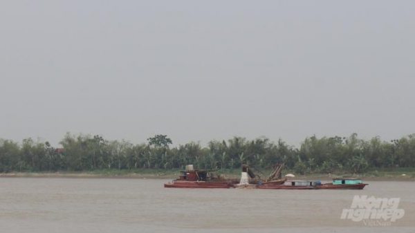 Nam Định: Cát tặc ngày đêm 'rút ruột' sông Hồng