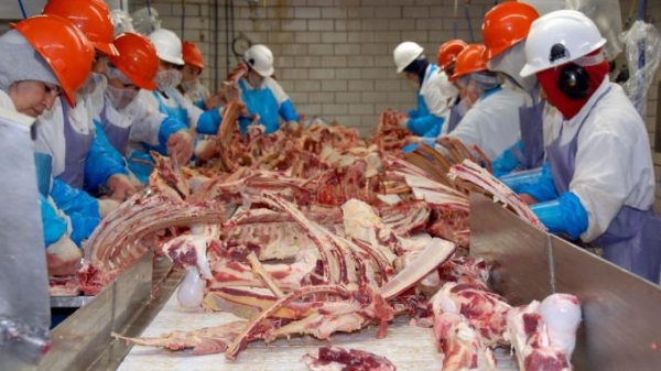 Phía sau khủng hoảng chuỗi cung ứng thịt ở Mỹ