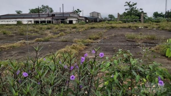 Mặt trái thu hồi đất nông, lâm nghiệp: Vết gợn tại thị xã Thái Hòa