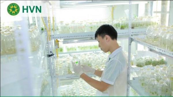 Công nghệ sinh học - ‘cánh tay đắc lực’ cho nông nghiệp công nghệ cao
