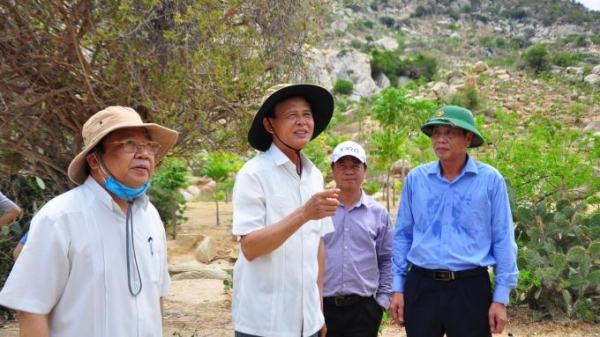 Ninh Thuận xin chuyển đổi mục đích sử dụng rừng