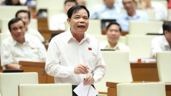 Bộ trưởng Nguyễn Xuân Cường: Cuối 2020 đàn lợn được khôi phục bằng lúc trước dịch